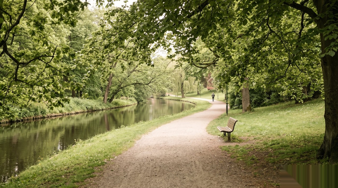 Vägen mot ett självständigt liv